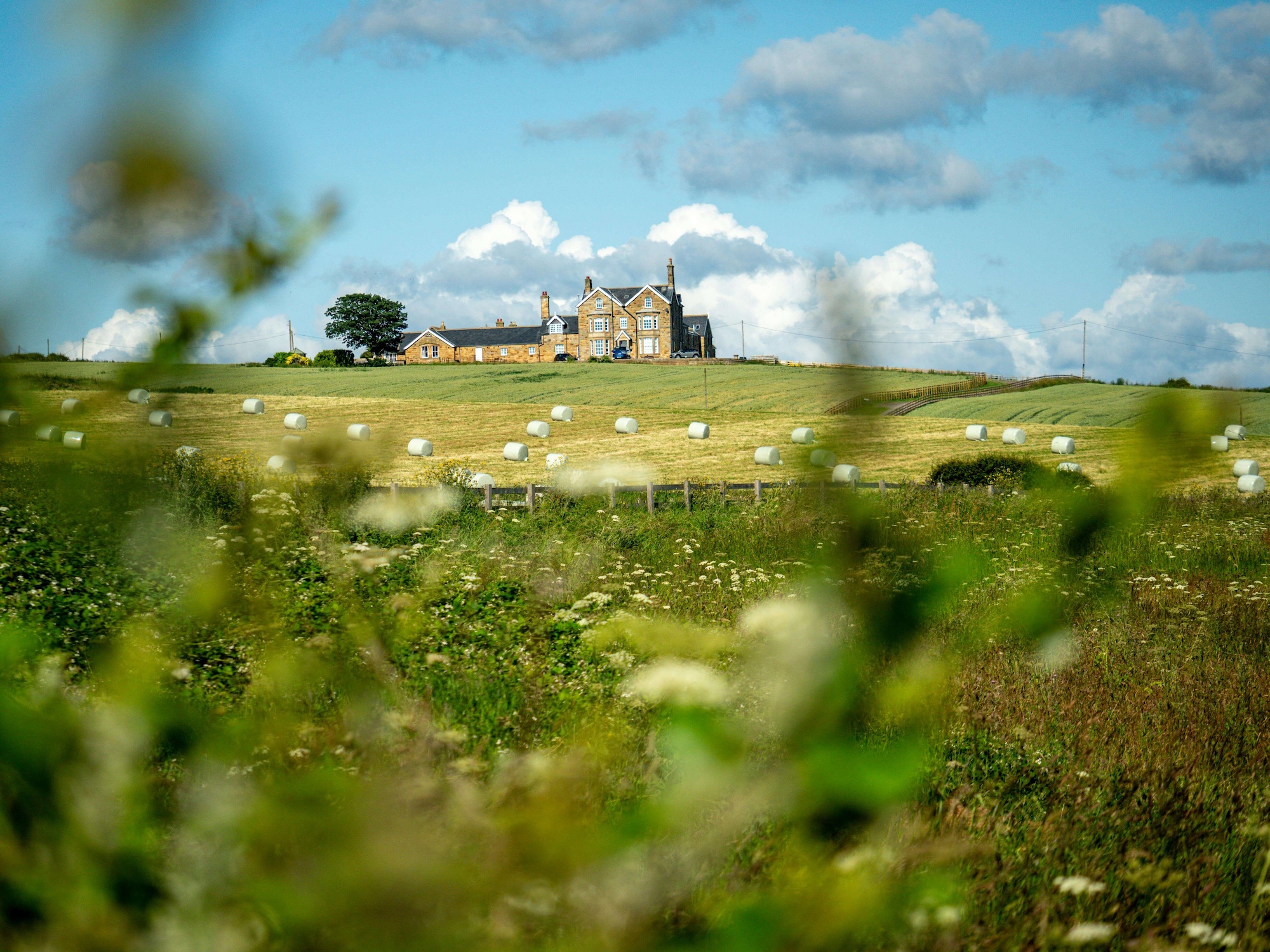 financial advice for farmers